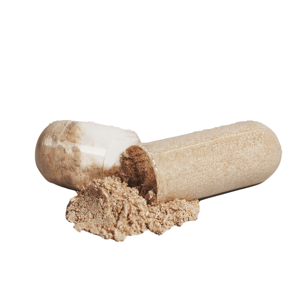 VITALITY Maca Plus